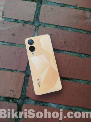 Vivo Y 17s